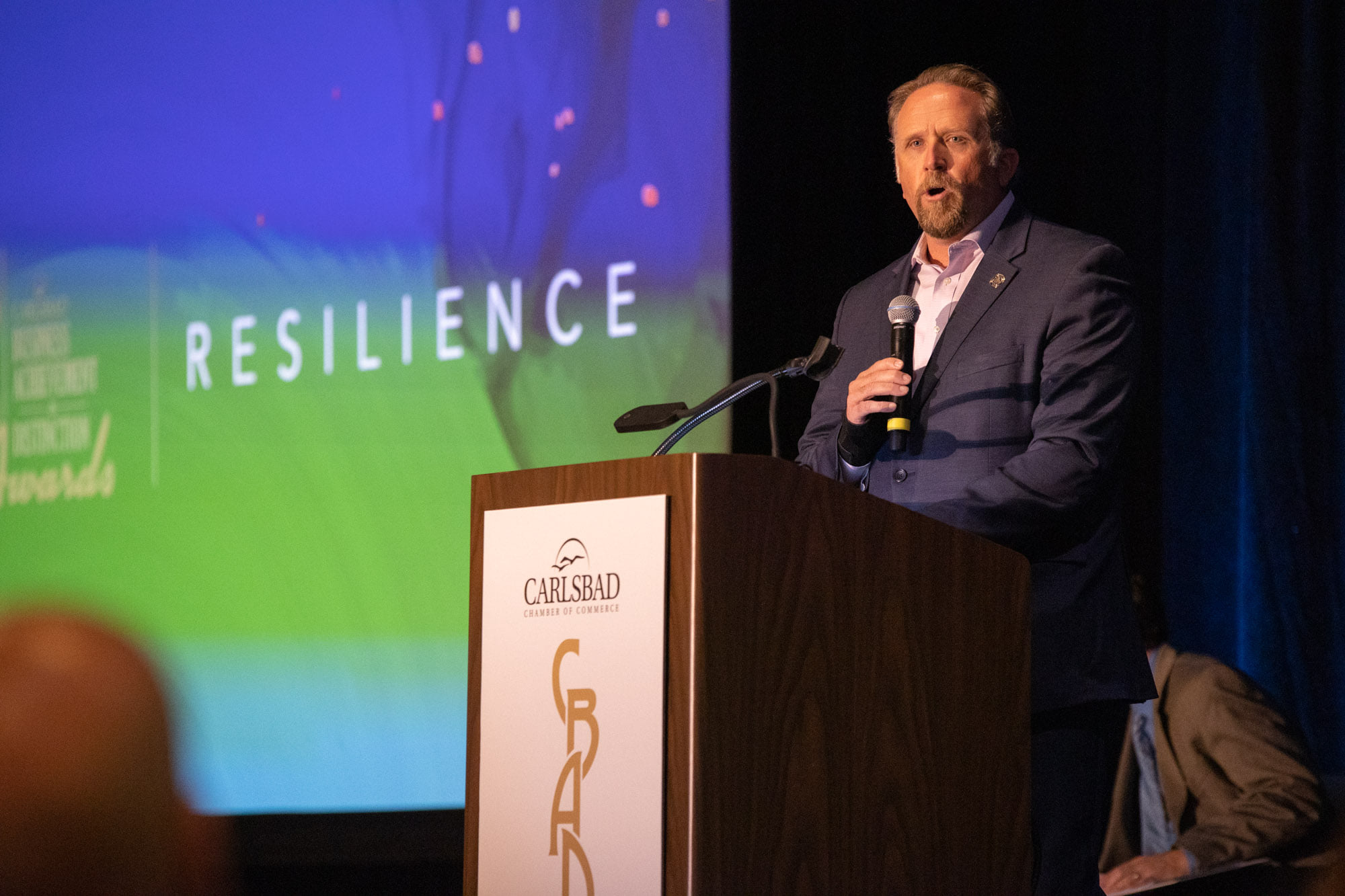 Fractional Executive Leadership & Public Affairs | Galvanized Strategies